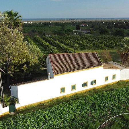 Quinta Rosa Branca Hotel Tavira Kültér fotó