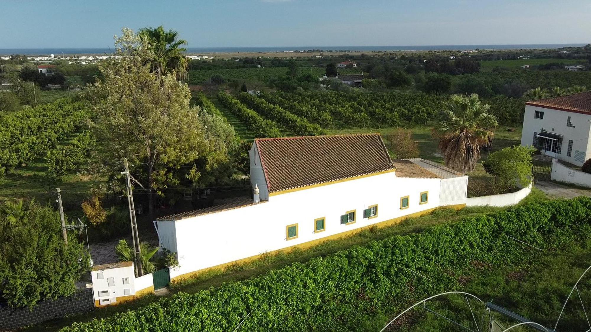 Quinta Rosa Branca Hotel Tavira Kültér fotó