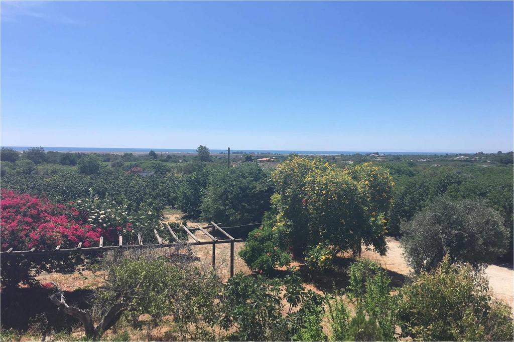 Quinta Rosa Branca Hotel Tavira Kültér fotó